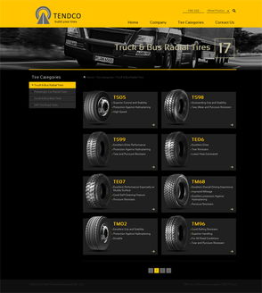 天科tendco网站成功上线 图文设计制作铸就卓越品牌形象